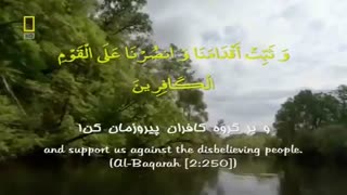 ربّنای استاد شجریان