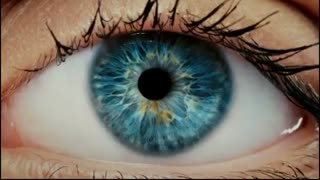 شگفتی های جهان آفرینش