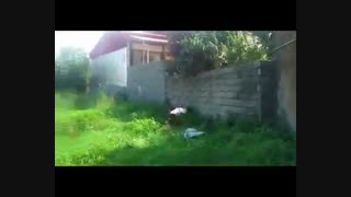 پارکور بسیار جالب