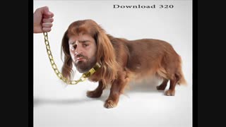 جواب شاهین نجفی