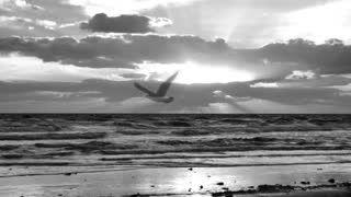 نمآهنگ فردای دیروز به آهنگسازی کیان بزرگمهری