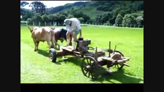 اختراع چمن زن