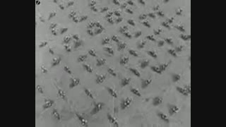 ارتش نازیسم آلمان