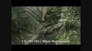 نگاهی به کشور جزایز کوک این کشور آخر دنیا می باشد