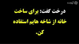 پسربچه و درخت