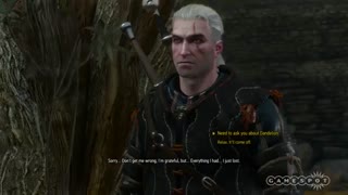 witcher 3 : wild hunt  بر روی ps4