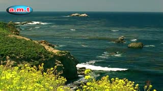 پرواز بر فراز اقیانوس