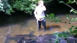 غذا دادن به مار ماهی