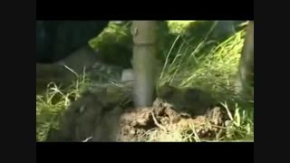 فیلم نحوه آزمایش نفوذ مخروط/Video of cone penetration test