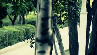 موسسه جنبش مصاف - طایفه منتظران