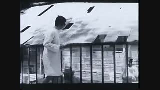 رضا موتوری (مسعود کیمیایی)