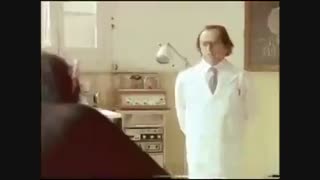 میمون با معرفت !