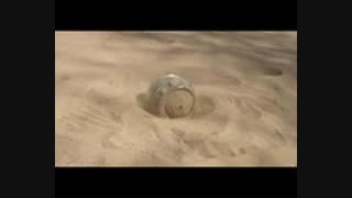 Ultimate Amphibious Spherical robot