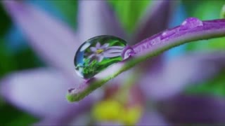 رمضان - بـــیـــا تو فـــیـــلــــم