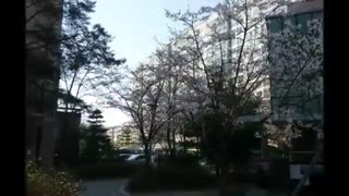 محل سربازی هیون جونگ