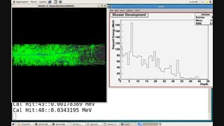 Final exercise in Geant4 Trainig Course 2010 at TNCT
