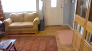 Amateur nuclear physics: neutron activation of gold