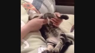 هم ویدیوروببین هم متن روبخون خدافظ:(