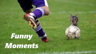 خنده دارترین لحظه های فوتبالی