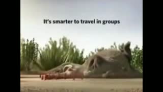 تریلر انیمیشن ice age 5 - عصر یخبندان 5