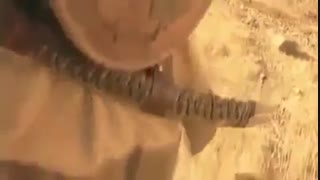 جنودک حیدر پالپوتومی