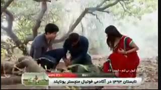 زنده به گورکردن زیا