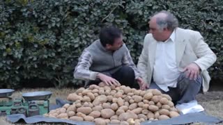 واقعیتی تلخ