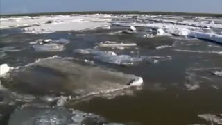 مستند ماموت ها