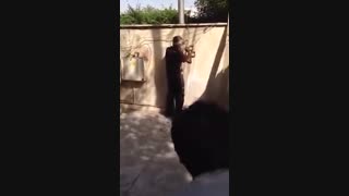 خخخخ ته خنده