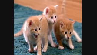 مستند دوست داشتنی ها با دوبله فارسی - قسمت سوم