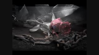 محسن چاوشی  هروز پایزه