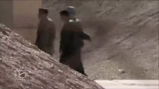 مستند کوتاه | روباه صحرا