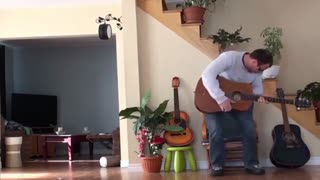 میگن چوب خدا صدانداره ایندفه گلدونه خداصدانداره