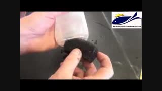 ساخت فیلتر ساده آکواریوم