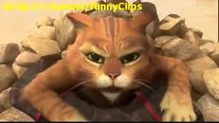 اسیر کردن گربه شرک