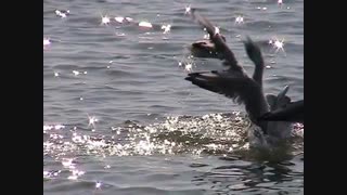 Mireille Mathieu- La Mer