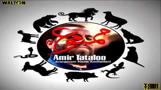 آهـــنــگ جـــدیــد امــیــر تــتــلــو مـمــنــوع