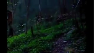 ویدئوی کاملا حقیقی از بشقاب پرنده ها و آدم فضایی در زمین(حتما ببینید)