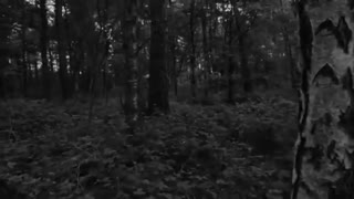 آدم فضایی (ترسناک)