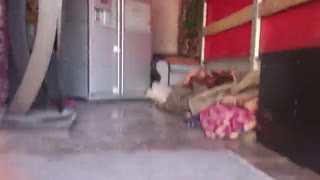 حمل یخچال های ساید بای سایدو اثاث کشی