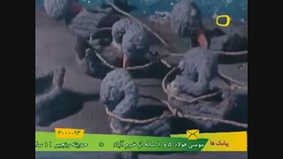 بهترین داستان‌های دنیا "شکارچی اردک"