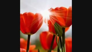 عید سعید فطر مبارک
