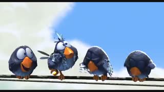 انیمیشن زیبای « پرندگان »