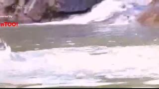 سریال هونگ گیل دونگ قسمت 4