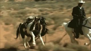 له شدن جانی دپ زیر دست و پای اسب!!!