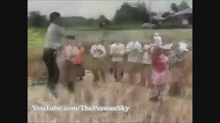 رقص تالشی (رقص چراغ ) با هنرمندی جهانگیر حاجی پور