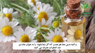 روغن بابونه