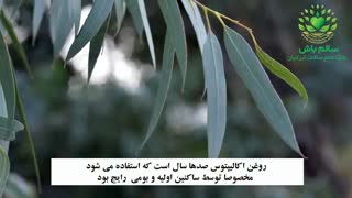 روغن اکالیپتوکس