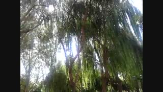 خورشید در نشابور