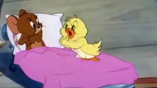 تام و جری در « اردک کوچولو »